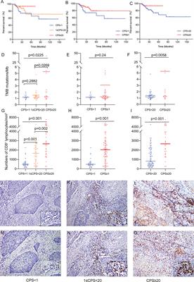 Analysis of Immunological Characteristics and Genomic Alterations in HPV-Positive Oropharyngeal Squamous Cell Carcinoma Based on PD-L1 Expression